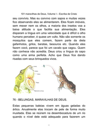 101 maravilhas de Deus, Volume I – Escriba de Cristo
seu convívio. Mas eu convivo com sapos e muitas vezes
fico observando eles se alimentarem. Eles ficam imóveis,
sem mexer nem os olhos, a maioria dos insetos voa a
baixa altitude o que facilita sua alimentação. Eles
disparam a língua em uma velocidade que é difícil o olho
humano perceber, é quase um vulto. Não são somente os
mosquitos que eles comem, fazem parte da dieta
gafanhotos, grilos, baratas, besouros etc. Quando eles
fazem cocó, parece que foi um cavalo que cagou. Quem
não conhece não acredita. Deus criou a língua do sapo
como uma arma perfeita. Acho que Deus fica dando
risadas com seus brinquedos vivos.
76 - BELUNGAS, MARAVILHAS DE DEUS.
Estas pequenas baleias vivem em águas geladas do
ártico. Anualmente elas trocam de pele de forma muito
inusitada. Elas se reúnem na desembocadura de um rio
quando o nível dele está adequado para fazerem um
81
 