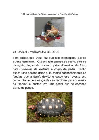 101 maravilhas de Deus, Volume I – Escriba de Cristo
79 - JABUTI, MARAVILHA DE DEUS.
Tem coisas que Deus faz que são montagens. Ele se
diverte com lego... O jabuti tem cabeça de cobra, bico de
papagaio, língua de homem, patas dianteiras de foca,
patas traseiras de elefante e corpo de pedra. Tenho
quase uma dezena delas e as chamo carinhosamente de
“pedras que andam”, devido o casco que reveste seu
corpo. Diante de ameaça elas se recolhem para o interior
da "pedra". O cristão tem uma pedra que se esconde
diante do perigo.
84
 