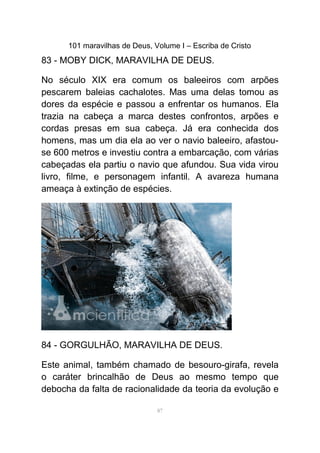 101 maravilhas de Deus, Volume I – Escriba de Cristo
83 - MOBY DICK, MARAVILHA DE DEUS.
No século XIX era comum os baleeiros com arpões
pescarem baleias cachalotes. Mas uma delas tomou as
dores da espécie e passou a enfrentar os humanos. Ela
trazia na cabeça a marca destes confrontos, arpões e
cordas presas em sua cabeça. Já era conhecida dos
homens, mas um dia ela ao ver o navio baleeiro, afastou-
se 600 metros e investiu contra a embarcação, com várias
cabeçadas ela partiu o navio que afundou. Sua vida virou
livro, filme, e personagem infantil. A avareza humana
ameaça à extinção de espécies.
84 - GORGULHÃO, MARAVILHA DE DEUS.
Este animal, também chamado de besouro-girafa, revela
o caráter brincalhão de Deus ao mesmo tempo que
debocha da falta de racionalidade da teoria da evolução e
87
 