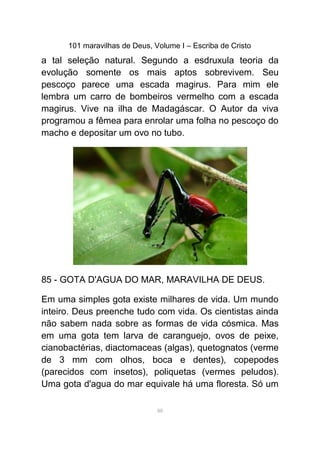 101 maravilhas de Deus, Volume I – Escriba de Cristo
a tal seleção natural. Segundo a esdruxula teoria da
evolução somente os mais aptos sobrevivem. Seu
pescoço parece uma escada magirus. Para mim ele
lembra um carro de bombeiros vermelho com a escada
magirus. Vive na ilha de Madagáscar. O Autor da viva
programou a fêmea para enrolar uma folha no pescoço do
macho e depositar um ovo no tubo.
85 - GOTA D'AGUA DO MAR, MARAVILHA DE DEUS.
Em uma simples gota existe milhares de vida. Um mundo
inteiro. Deus preenche tudo com vida. Os cientistas ainda
não sabem nada sobre as formas de vida cósmica. Mas
em uma gota tem larva de caranguejo, ovos de peixe,
cianobactérias, diactomaceas (algas), quetognatos (verme
de 3 mm com olhos, boca e dentes), copepodes
(parecidos com insetos), poliquetas (vermes peludos).
Uma gota d'agua do mar equivale há uma floresta. Só um
88
 