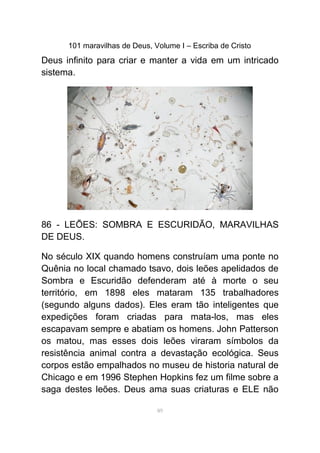 101 maravilhas de Deus, Volume I – Escriba de Cristo
Deus infinito para criar e manter a vida em um intricado
sistema.
86 - LEÕES: SOMBRA E ESCURIDÃO, MARAVILHAS
DE DEUS.
No século XIX quando homens construíam uma ponte no
Quênia no local chamado tsavo, dois leões apelidados de
Sombra e Escuridão defenderam até à morte o seu
território, em 1898 eles mataram 135 trabalhadores
(segundo alguns dados). Eles eram tão inteligentes que
expedições foram criadas para mata-los, mas eles
escapavam sempre e abatiam os homens. John Patterson
os matou, mas esses dois leões viraram símbolos da
resistência animal contra a devastação ecológica. Seus
corpos estão empalhados no museu de historia natural de
Chicago e em 1996 Stephen Hopkins fez um filme sobre a
saga destes leões. Deus ama suas criaturas e ELE não
89
 