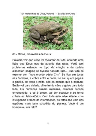 101 maravilhas de Deus, Volume I – Escriba de Cristo
88 - Ratos, maravilhas de Deus.
Próxima vez que você for reclamar da vida, aprenda uma
lição que Deus nos dá através dos ratos. Você tem
problemas estando no topo da criação e da cadeia
alimentar, imagine se tivesse nascido rato... Sua vida se
resume em: "todo mundo odeia Cris". Se fica em tocas
nas florestas, a cobra entra e come, se sai, quem pega é
o gavião, se anda a noite, são as corujas que o captura.
Então vai para cidade: ali enfrenta cães e gatos para todo
lado. Os humanos armam ratoeiras, colocam comida
envenenada, e se é preso, vai ser escravo e se torna
cobaia em laboratórios. Com toda esta adversidade, com
inteligência e troca de informações, os ratos são uma das
espécies mais bem sucedida do planeta. Você é um
homem ou um rato?
91
 