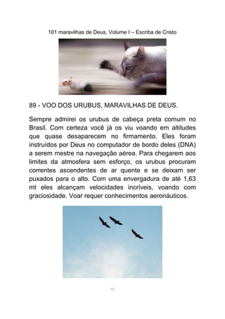 101 maravilhas de Deus, Volume I – Escriba de Cristo
89 - VOO DOS URUBUS, MARAVILHAS DE DEUS.
Sempre admirei os urubus de cabeça preta comum no
Brasil. Com certeza você já os viu voando em altitudes
que quase desaparecem no firmamento. Eles foram
instruídos por Deus no computador de bordo deles (DNA)
a serem mestre na navegação aérea. Para chegarem aos
limites da atmosfera sem esforço, os urubus procuram
correntes ascendentes de ar quente e se deixam ser
puxados para o alto. Com uma envergadura de até 1,63
mt eles alcançam velocidades incríveis, voando com
graciosidade. Voar requer conhecimentos aeronáuticos.
92
 