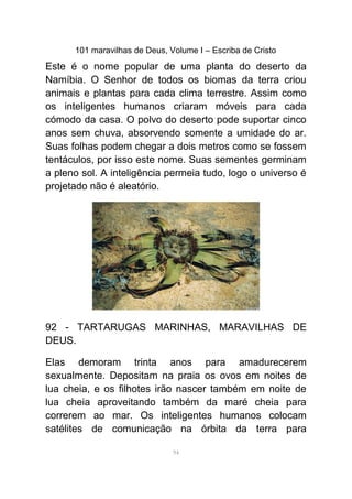 101 maravilhas de Deus, Volume I – Escriba de Cristo
Este é o nome popular de uma planta do deserto da
Namíbia. O Senhor de todos os biomas da terra criou
animais e plantas para cada clima terrestre. Assim como
os inteligentes humanos criaram móveis para cada
cómodo da casa. O polvo do deserto pode suportar cinco
anos sem chuva, absorvendo somente a umidade do ar.
Suas folhas podem chegar a dois metros como se fossem
tentáculos, por isso este nome. Suas sementes germinam
a pleno sol. A inteligência permeia tudo, logo o universo é
projetado não é aleatório.
92 - TARTARUGAS MARINHAS, MARAVILHAS DE
DEUS.
Elas demoram trinta anos para amadurecerem
sexualmente. Depositam na praia os ovos em noites de
lua cheia, e os filhotes irão nascer também em noite de
lua cheia aproveitando também da maré cheia para
correrem ao mar. Os inteligentes humanos colocam
satélites de comunicação na órbita da terra para
94
 