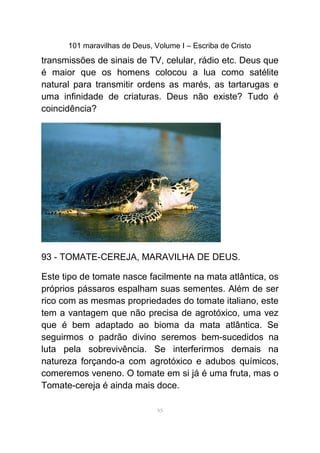 101 maravilhas de Deus, Volume I – Escriba de Cristo
transmissões de sinais de TV, celular, rádio etc. Deus que
é maior que os homens colocou a lua como satélite
natural para transmitir ordens as marés, as tartarugas e
uma infinidade de criaturas. Deus não existe? Tudo é
coincidência?
93 - TOMATE-CEREJA, MARAVILHA DE DEUS.
Este tipo de tomate nasce facilmente na mata atlântica, os
próprios pássaros espalham suas sementes. Além de ser
rico com as mesmas propriedades do tomate italiano, este
tem a vantagem que não precisa de agrotóxico, uma vez
que é bem adaptado ao bioma da mata atlântica. Se
seguirmos o padrão divino seremos bem-sucedidos na
luta pela sobrevivência. Se interferirmos demais na
natureza forçando-a com agrotóxico e adubos químicos,
comeremos veneno. O tomate em si já é uma fruta, mas o
Tomate-cereja é ainda mais doce.
95
 
