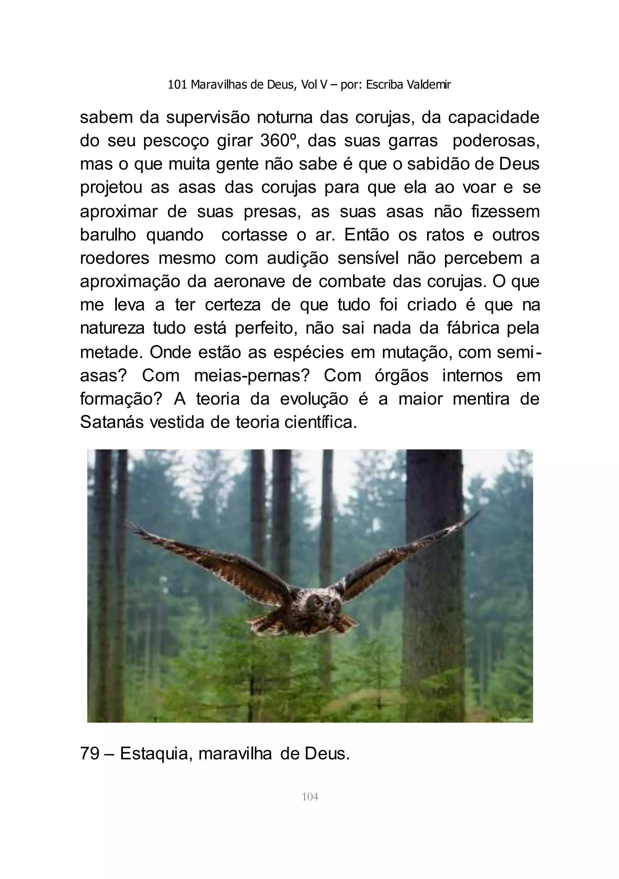 101 Maravilhas de Deus, Vol V – por: Escriba Valdemir
104
sabem da supervisão noturna das corujas, da capacidade
do seu pescoço girar 360º, das suas garras poderosas,
mas o que muita gente não sabe é que o sabidão de Deus
projetou as asas das corujas para que ela ao voar e se
aproximar de suas presas, as suas asas não fizessem
barulho quando cortasse o ar. Então os ratos e outros
roedores mesmo com audição sensível não percebem a
aproximação da aeronave de combate das corujas. O que
me leva a ter certeza de que tudo foi criado é que na
natureza tudo está perfeito, não sai nada da fábrica pela
metade. Onde estão as espécies em mutação, com semi-
asas? Com meias-pernas? Com órgãos internos em
formação? A teoria da evolução é a maior mentira de
Satanás vestida de teoria científica.
79 – Estaquia, maravilha de Deus.
 