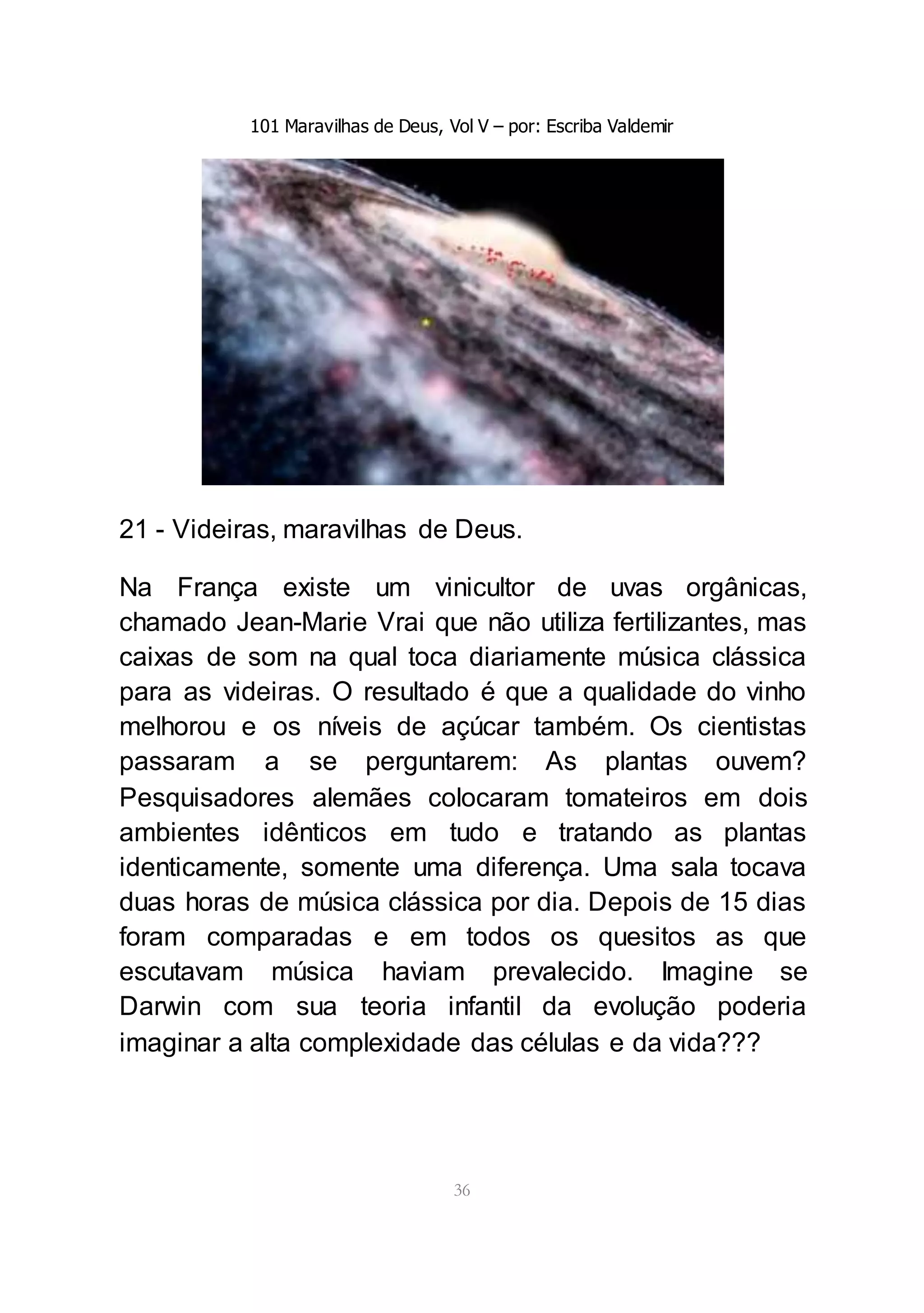 101 Maravilhas de Deus, Vol V – por: Escriba Valdemir
36
21 - Videiras, maravilhas de Deus.
Na França existe um vinicultor de uvas orgânicas,
chamado Jean-Marie Vrai que não utiliza fertilizantes, mas
caixas de som na qual toca diariamente música clássica
para as videiras. O resultado é que a qualidade do vinho
melhorou e os níveis de açúcar também. Os cientistas
passaram a se perguntarem: As plantas ouvem?
Pesquisadores alemães colocaram tomateiros em dois
ambientes idênticos em tudo e tratando as plantas
identicamente, somente uma diferença. Uma sala tocava
duas horas de música clássica por dia. Depois de 15 dias
foram comparadas e em todos os quesitos as que
escutavam música haviam prevalecido. Imagine se
Darwin com sua teoria infantil da evolução poderia
imaginar a alta complexidade das células e da vida???
 