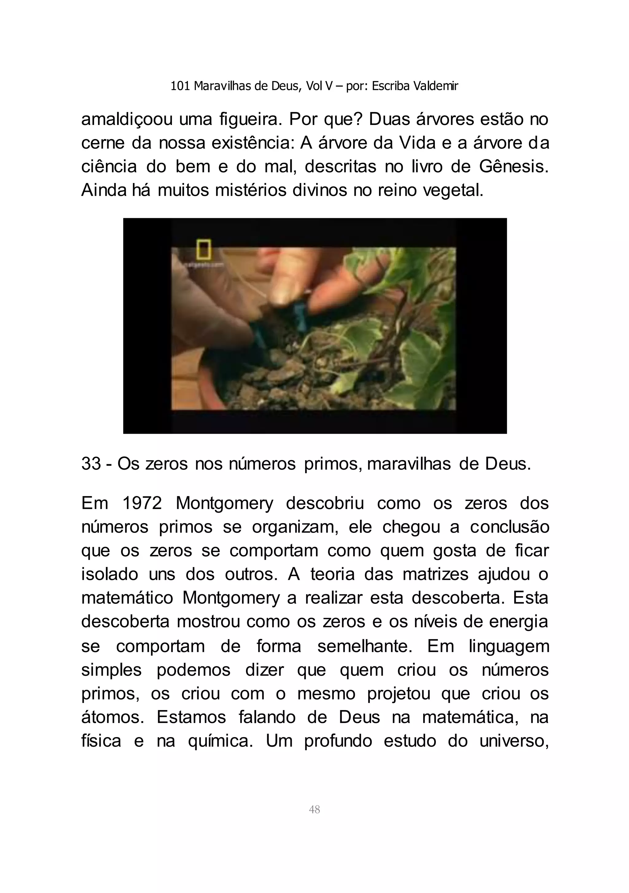 101 Maravilhas de Deus, Vol V – por: Escriba Valdemir
48
amaldiçoou uma figueira. Por que? Duas árvores estão no
cerne da nossa existência: A árvore da Vida e a árvore da
ciência do bem e do mal, descritas no livro de Gênesis.
Ainda há muitos mistérios divinos no reino vegetal.
33 - Os zeros nos números primos, maravilhas de Deus.
Em 1972 Montgomery descobriu como os zeros dos
números primos se organizam, ele chegou a conclusão
que os zeros se comportam como quem gosta de ficar
isolado uns dos outros. A teoria das matrizes ajudou o
matemático Montgomery a realizar esta descoberta. Esta
descoberta mostrou como os zeros e os níveis de energia
se comportam de forma semelhante. Em linguagem
simples podemos dizer que quem criou os números
primos, os criou com o mesmo projetou que criou os
átomos. Estamos falando de Deus na matemática, na
física e na química. Um profundo estudo do universo,
 