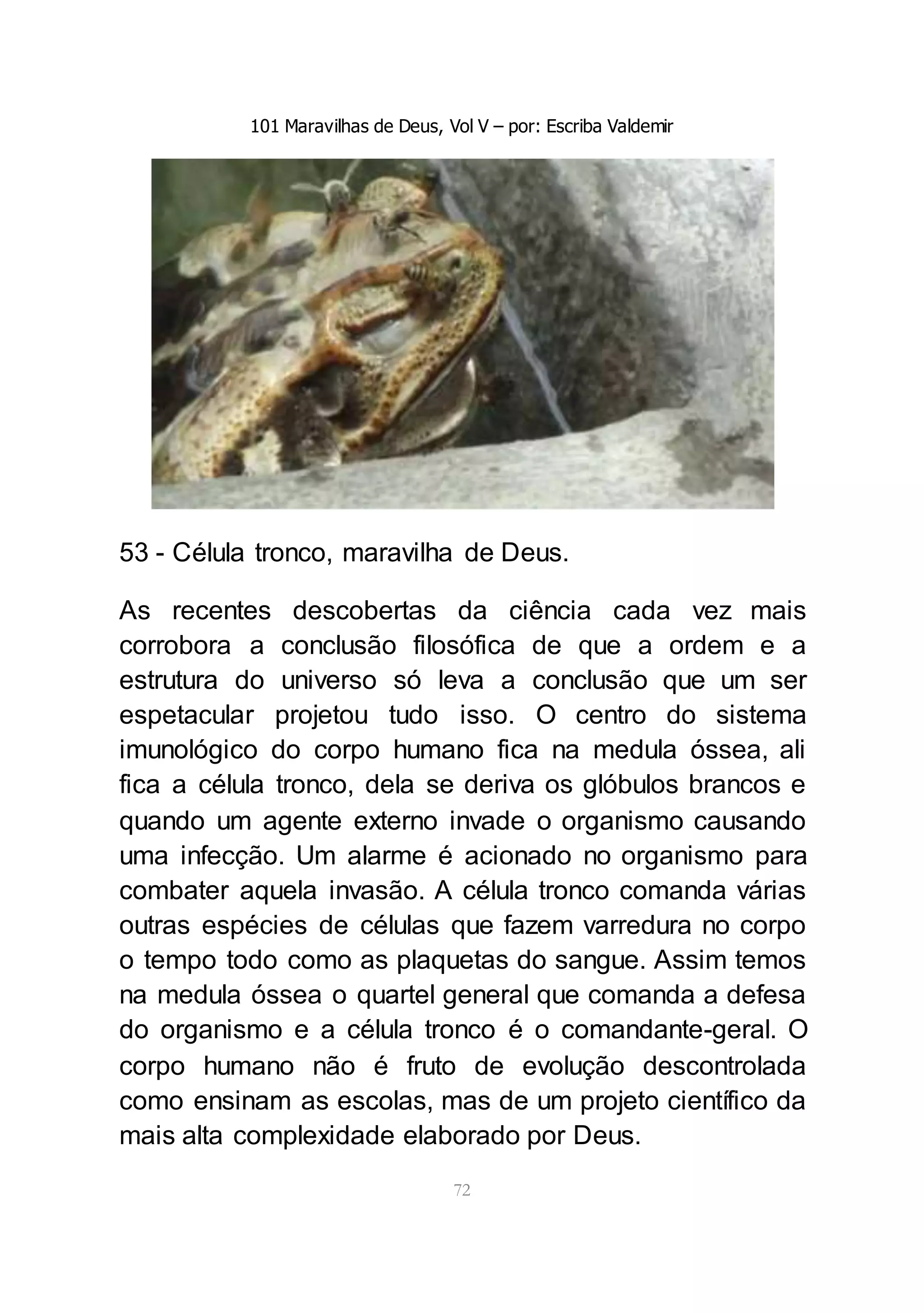 101 Maravilhas de Deus, Vol V – por: Escriba Valdemir
72
53 - Célula tronco, maravilha de Deus.
As recentes descobertas da ciência cada vez mais
corrobora a conclusão filosófica de que a ordem e a
estrutura do universo só leva a conclusão que um ser
espetacular projetou tudo isso. O centro do sistema
imunológico do corpo humano fica na medula óssea, ali
fica a célula tronco, dela se deriva os glóbulos brancos e
quando um agente externo invade o organismo causando
uma infecção. Um alarme é acionado no organismo para
combater aquela invasão. A célula tronco comanda várias
outras espécies de células que fazem varredura no corpo
o tempo todo como as plaquetas do sangue. Assim temos
na medula óssea o quartel general que comanda a defesa
do organismo e a célula tronco é o comandante-geral. O
corpo humano não é fruto de evolução descontrolada
como ensinam as escolas, mas de um projeto científico da
mais alta complexidade elaborado por Deus.
 