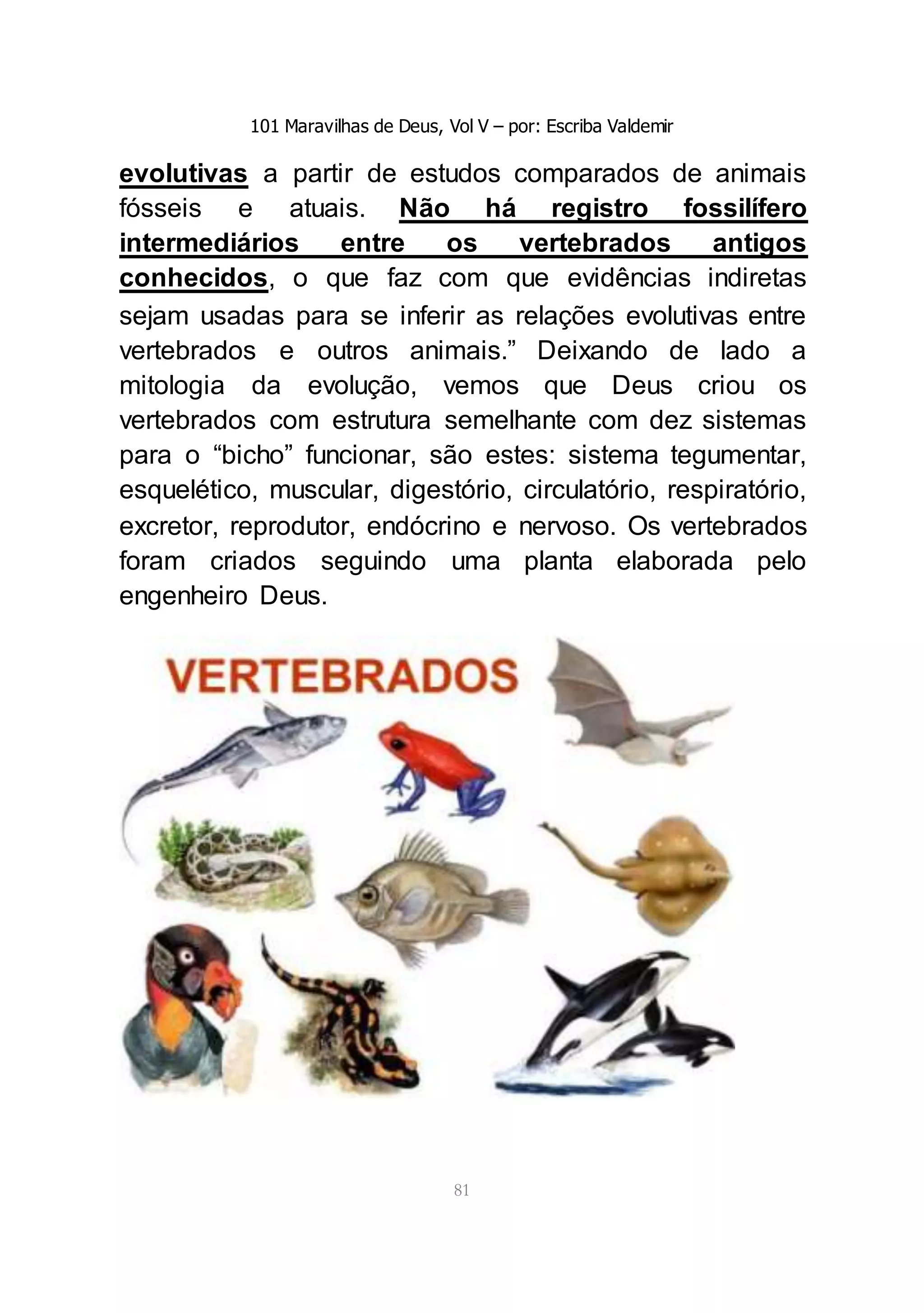 101 Maravilhas de Deus, Vol V – por: Escriba Valdemir
81
evolutivas a partir de estudos comparados de animais
fósseis e atuais. Não há registro fossilífero
intermediários entre os vertebrados antigos
conhecidos, o que faz com que evidências indiretas
sejam usadas para se inferir as relações evolutivas entre
vertebrados e outros animais.” Deixando de lado a
mitologia da evolução, vemos que Deus criou os
vertebrados com estrutura semelhante com dez sistemas
para o “bicho” funcionar, são estes: sistema tegumentar,
esquelético, muscular, digestório, circulatório, respiratório,
excretor, reprodutor, endócrino e nervoso. Os vertebrados
foram criados seguindo uma planta elaborada pelo
engenheiro Deus.
 