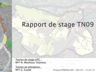 Thibault PERRAILLON - GSU 04 – 13/03/12
Tutrice de stage UTC :
Mme N. Mouhous-Voyneau
Tutrice en entreprise :
Mme G. Gaube
 