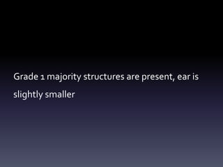 Grade 1 majority structures are present, ear is
slightly smaller
 