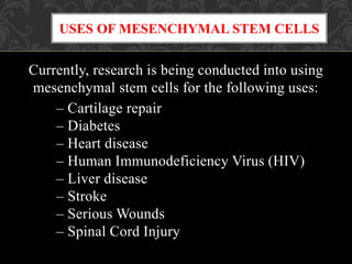 Currently, research is being conducted into using
mesenchymal stem cells for the following uses:
– Cartilage repair
– Diabetes
– Heart disease
– Human Immunodeficiency Virus (HIV)
– Liver disease
– Stroke
– Serious Wounds
– Spinal Cord Injury
USES OF MESENCHYMAL STEM CELLS
 