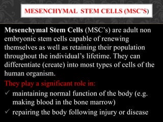 Mesenchymal Stem Cells (MSC’s) are adult non
embryonic stem cells capable of renewing
themselves as well as retaining their population
throughout the individual’s lifetime. They can
differentiate (create) into most types of cells of the
human organism.
They play a significant role in:
 maintaining normal function of the body (e.g.
making blood in the bone marrow)
 repairing the body following injury or disease
MESENCHYMAL STEM CELLS (MSC’S)
 