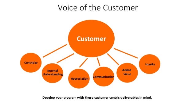 voice of the customer program