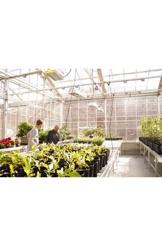 Rockey Academic Portfolio '16