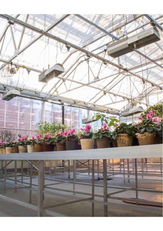 Rockey Academic Portfolio '16