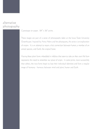 Rockey Academic Portfolio '16