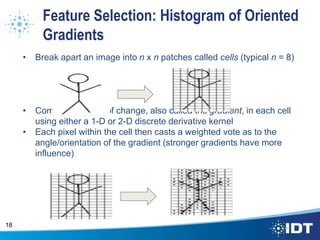 Feature Selection: Histogram of Oriented
Gradients
• Break apart an image into n x n patches called cells (typical n = 8)
• Compute the rate of change, also called the gradient, in each cell
using either a 1-D or 2-D discrete derivative kernel
• Each pixel within the cell then casts a weighted vote as to the
angle/orientation of the gradient (stronger gradients have more
influence)
18
 