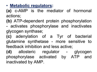 • Metabolic regulators:
(a) c-AMP is the mediator of hormonal
actions;
(b) ATP-dependent protein phosphorylation
- activat...