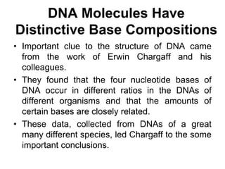 DNA Molecules Have
Distinctive Base Compositions
• Important clue to the structure of DNA came
from the work of Erwin Char...