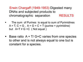 Erwin Chargaff (1949-1953) Digested many
DNAs and subjected products to
chromatographic separation RESULTS
 The sum of Pu...
