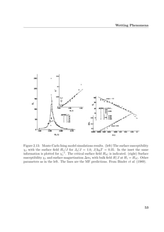 Wetting Phenomena
Figure 2.13: Monte Carlo Ising model simulations results. (left) The surface susceptibility
χ1 with the surface ﬁeld H1/J for JS/J = 1.0, J/kBT = 0.35. In the inset the same
information is plotted for χ−1
1 . The critical surface ﬁeld H1C is indicated. (right) Surface
susceptibility χ1 and surface magnetisation ∆m1 with bulk ﬁeld H/J at H1 = H1C. Other
parameters as in the left. The lines are the MF predictions. From Binder et al. (1989).
53
 