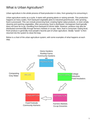 Urban agriculture is the whole process of food production in cities, from growing it to consuming it.
Urban agriculture works as a cycle. It starts with growing plants or raising animals. This production
happens at many scales, from backyard vegetable plots to industrial greenhouses. After growing,
food is processed. This can include preserving food, creating higher­value products, or even simply
cleaning and washing vegetables. After processing, food is distributed. Homegrown food typically
does not have far to go, travelling from backyard to dinner table. However, produce may also be
distributed commercially through farmers markets or co­ops. Next, food is consumed. Eating local,
fresh produce is generally most people's favorite part of urban agriculture. Ideally "waste" is then
returned into the system to close the loop.
Below is a chart of the urban agriculture system, with some examples of what happens at each
step.
Home Gardens
Rooftop Farms
Community Gardens
etc
Farmers Markets
Co­op Groceries
Cottage
Industries
Food Incubators
Food Festivals
Community Kitchens
Composting
Grey Water
What is Urban Agriculture?
 