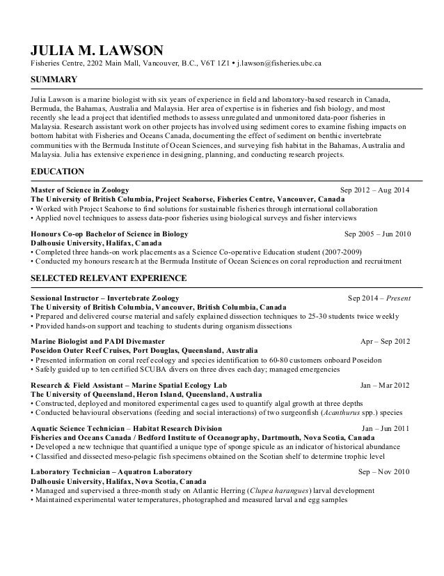 way to learn english essays structure