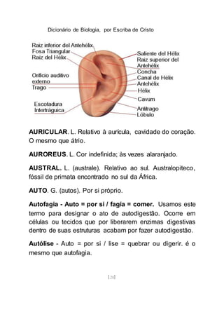 Dicionário de Biologia, por Escriba de Cristo
[28]
AURICULAR. L. Relativo à aurícula, cavidade do coração.
O mesmo que átrio.
AUROREUS. L. Cor indefinida; às vezes alaranjado.
AUSTRAL. L. (australe). Relativo ao sul. Australopiteco,
fóssil de primata encontrado no sul da África.
AUTO. G. (autos). Por si próprio.
Autofagia - Auto = por si / fagia = comer. Usamos este
termo para designar o ato de autodigestão. Ocorre em
células ou tecidos que por liberarem enzimas digestivas
dentro de suas estruturas acabam por fazer autodigestão.
Autólise - Auto = por si / lise = quebrar ou digerir. é o
mesmo que autofagia.
 