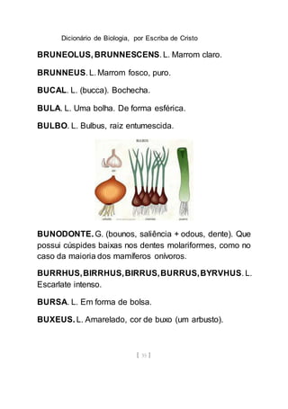 Dicionário de Biologia, por Escriba de Cristo
[ 35 ]
BRUNEOLUS, BRUNNESCENS. L. Marrom claro.
BRUNNEUS. L. Marrom fosco, puro.
BUCAL. L. (bucca). Bochecha.
BULA. L. Uma bolha. De forma esférica.
BULBO. L. Bulbus, raiz entumescida.
BUNODONTE. G. (bounos, saliência + odous, dente). Que
possui cúspides baixas nos dentes molariformes, como no
caso da maioria dos mamíferos onívoros.
BURRHUS,BIRRHUS,BIRRUS,BURRUS,BYRVHUS. L.
Escarlate intenso.
BURSA. L. Em forma de bolsa.
BUXEUS. L. Amarelado, cor de buxo (um arbusto).
 