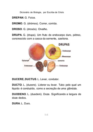 Dicionário de Biologia, por Escriba de Cristo
[62]
DREPAN. G. Foice.
DROMO. G. (drómos). Correr, corrida.
DROSO. G. (drosós). Orvalho.
DRUPA. G. (drupa). Um fruto de endocarpo duro, pétreo,
concrescido com a casca da semente, azeitona.
DUCERE, DUCTUS. L. Levar, condutor.
DUCTO. L. (ducere). Liderar ou levar. Tubo pelo qual um
líquido é conduzido, como a secreção de uma glândula.
DUODENO. L. (duodeni). Doze. Significando a largura de
doze dedos.
DURA. L. Duro.
 