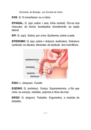 Dicionário de Biologia, por Escriba de Cristo
[66]
EOS. G. O amanhecer ou o início.
EPAXIAL. G. (epi, sobre + axis, linha central). Diz-se dos
músculos do tronco localizados dorsalmente ao septo
lateral.
EPI. G. (epí). Sobre, por cima. Epiderme, sobre a pele.
EPIDIDIMO. G. (epi, sobre + didymoi, testículos). Estrutura
contendo os túbulos eferentes do testículo dos mamíferos.
EQUI. L. (aequus). Cavalo.
EQÜINO. G. (echínos). Ouriço. Equinodermos, o filo que
inclui os ouriços, estrelas, pepinos e lírios-do-mar.
ERGO. G. (érgom). Trabalho. Ergometria, a medida do
trabalho.
 