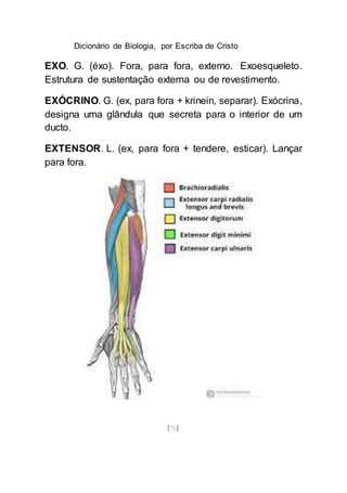 Dicionário de Biologia, por Escriba de Cristo
[70]
EXO. G. (éxo). Fora, para fora, externo. Exoesqueleto.
Estrutura de sustentação externa ou de revestimento.
EXÓCRINO. G. (ex, para fora + krinein, separar). Exócrina,
designa uma glândula que secreta para o interior de um
ducto.
EXTENSOR. L. (ex, para fora + tendere, esticar). Lançar
para fora.
 