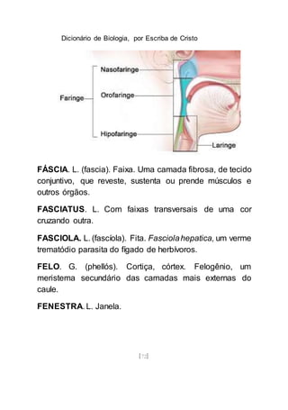 Dicionário de Biologia, por Escriba de Cristo
[72]
FÁSCIA. L. (fascia). Faixa. Uma camada fibrosa, de tecido
conjuntivo, que reveste, sustenta ou prende músculos e
outros órgãos.
FASCIATUS. L. Com faixas transversais de uma cor
cruzando outra.
FASCIOLA. L. (fascíola). Fita. Fasciolahepatica, um verme
trematódio parasita do fígado de herbívoros.
FELO. G. (phellós). Cortiça, córtex. Felogênio, um
meristema secundário das camadas mais externas do
caule.
FENESTRA. L. Janela.
 