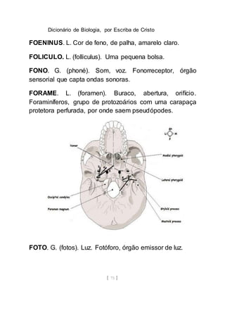 Dicionário de Biologia, por Escriba de Cristo
[ 75 ]
FOENINUS. L. Cor de feno, de palha, amarelo claro.
FOLICULO. L. (folliculus). Uma pequena bolsa.
FONO. G. (phoné). Som, voz. Fonorreceptor, órgão
sensorial que capta ondas sonoras.
FORAME. L. (foramen). Buraco, abertura, orifício.
Foraminíferos, grupo de protozoários com uma carapaça
protetora perfurada, por onde saem pseudópodes.
FOTO. G. (fotos). Luz. Fotóforo, órgão emissor de luz.
 