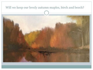 Will we keep our lovely autumn maples, birch and beech?
 