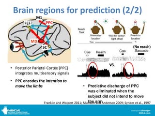 Ppc Brain Internal_models_Linkedin | PPTX