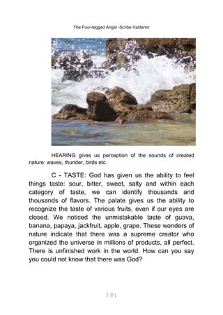 The Four-legged Angel -Scribe Valdemir
HEARING gives us perception of the sounds of created
nature: waves, thunder, birds etc.
C - TASTE: God has given us the ability to feel
things taste: sour, bitter, sweet, salty and within each
category of taste, we can identify thousands and
thousands of flavors. The palate gives us the ability to
recognize the taste of various fruits, even if our eyes are
closed. We noticed the unmistakable taste of guava,
banana, papaya, jackfruit, apple, grape. These wonders of
nature indicate that there was a supreme creator who
organized the universe in millions of products, all perfect.
There is unfinished work in the world. How can you say
you could not know that there was God?
[ 27 ]
 