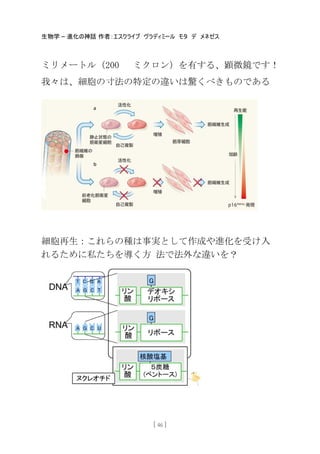 生物学 – 進化の神話 作者：エスクライブ ヴラディミール モタ デ メネゼス
[ 46 ]
ミリメートル（200 ミクロン）を有する、顕微鏡です！
我々は、細胞の寸法の特定の違いは驚くべきものである
細胞再生：これらの種は事実として作成や進化を受け入
れるために私たちを導く方 法で法外な違いを？
 