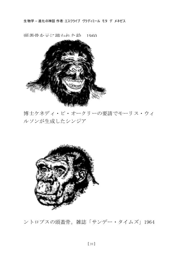 生物学 進化の神話 生物学 進化の神話