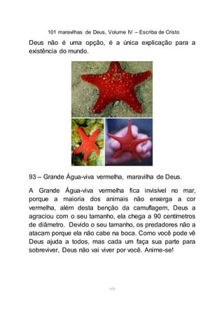 101 maravilhas de Deus, Volume IV – Escriba de Cristo
103
Deus não é uma opção, é a única explicação para a
existência do mundo.
93 – Grande Água-viva vermelha, maravilha de Deus.
A Grande Água-viva vermelha fica invisível no mar,
porque a maioria dos animais não enxerga a cor
vermelha, além desta benção da camuflagem, Deus a
agraciou com o seu tamanho, ela chega a 90 centímetros
de diâmetro. Devido o seu tamanho, os predadores não a
atacam porque ela não cabe na boca. Como você pode vê
Deus ajuda a todos, mas cada um faça sua parte para
sobreviver, Deus não vai viver por você. Anime-se!
 