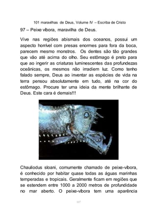 101 maravilhas de Deus, Volume IV – Escriba de Cristo
107
97 – Peixe víbora, maravilha de Deus.
Vive nas regiões abismais dos oceanos, possui um
aspecto horrível com presas enormes para fora da boca,
parecem mesmo monstros. Os dentes são tão grandes
que vão até acima do olho. Seu estômago é preto para
que ao ingerir as criaturas luminescentes das profundezas
oceânicas, os mesmos não irradiem luz. Como tenho
falado sempre, Deus ao inventar as espécies de vida na
terra pensou absolutamente em tudo, até na cor do
estômago. Procure ter uma ideia da mente brilhante de
Deus. Este cara é demais!!!
Chauliodus sloani, comumente chamado de peixe-víbora,
é conhecido por habitar quase todas as águas marinhas
temperadas e tropicais. Geralmente ficam em regiões que
se estendem entre 1000 a 2000 metros de profundidade
no mar aberto. O peixe-víbora tem uma aparência
 