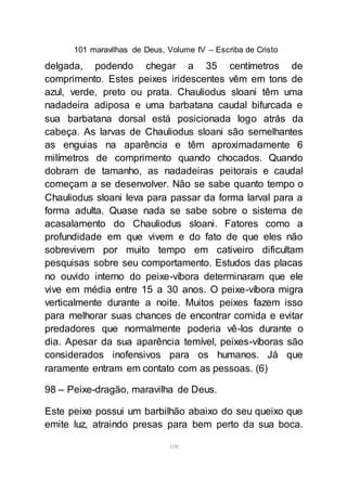 101 maravilhas de Deus, Volume IV – Escriba de Cristo
108
delgada, podendo chegar a 35 centímetros de
comprimento. Estes peixes iridescentes vêm em tons de
azul, verde, preto ou prata. Chauliodus sloani têm uma
nadadeira adiposa e uma barbatana caudal bifurcada e
sua barbatana dorsal está posicionada logo atrás da
cabeça. As larvas de Chauliodus sloani são semelhantes
as enguias na aparência e têm aproximadamente 6
milímetros de comprimento quando chocados. Quando
dobram de tamanho, as nadadeiras peitorais e caudal
começam a se desenvolver. Não se sabe quanto tempo o
Chauliodus sloani leva para passar da forma larval para a
forma adulta. Quase nada se sabe sobre o sistema de
acasalamento do Chauliodus sloani. Fatores como a
profundidade em que vivem e do fato de que eles não
sobrevivem por muito tempo em cativeiro dificultam
pesquisas sobre seu comportamento. Estudos das placas
no ouvido interno do peixe-víbora determinaram que ele
vive em média entre 15 a 30 anos. O peixe-víbora migra
verticalmente durante a noite. Muitos peixes fazem isso
para melhorar suas chances de encontrar comida e evitar
predadores que normalmente poderia vê-los durante o
dia. Apesar da sua aparência temível, peixes-víboras são
considerados inofensivos para os humanos. Já que
raramente entram em contato com as pessoas. (6)
98 – Peixe-dragão, maravilha de Deus.
Este peixe possui um barbilhão abaixo do seu queixo que
emite luz, atraindo presas para bem perto da sua boca.
 