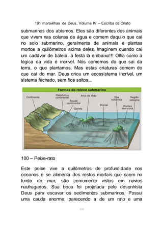 101 maravilhas de Deus, Volume IV – Escriba de Cristo
110
submarinos dos abismos. Eles são diferentes dos animais
que vivem nas colunas de água e comem daquilo que cai
no solo submarino, geralmente de animais e plantas
mortos a quilômetros acima deles. Imaginem quando cai
um cadáver de baleia, a festa lá embaixo!!! Olha como a
lógica da vida é incrível. Nós comemos do que sai da
terra, o que plantamos. Mas estas criaturas comem do
que cai do mar. Deus criou um ecossistema incrível, um
sistema fechado, sem fios soltos...
100 – Peixe-rato
Este peixe vive a quilômetros de profundidade nos
oceanos e se alimenta dos restos mortais que caem no
fundo do mar, são comumente vistos em navios
naufragados. Sua boca foi projetada pelo desenhista
Deus para escavar os sedimentos submarinos. Possui
uma cauda enorme, parecendo a de um rato e uma
 