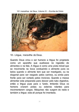101 maravilhas de Deus, Volume IV – Escriba de Cristo
28
18 - Língua, maravilha de Deus.
Quando Deus criou o ser humano a língua foi projetada
como um aparelho que auxiliasse na ingestão de
alimentos e na fala. A língua é como uma pista móvel que
se movimenta na boca conduzindo o alimento para os
lados quando o alimento tem que ser mastigado, ou na
diagonal para ser rasgado pelos caninos, ou ainda para
frente para ser cortado pelos incisivos. Quando a massa
alimentar esta preparada para descer pelo tubo digestivo,
então a língua puxa para o fundo. Imitando Deus os
homens criaram pistas ou esteiras rolantes para
movimentarem cargas. Máquinas não surgem do nada e
também a língua esta ali porque foi inventada.
 