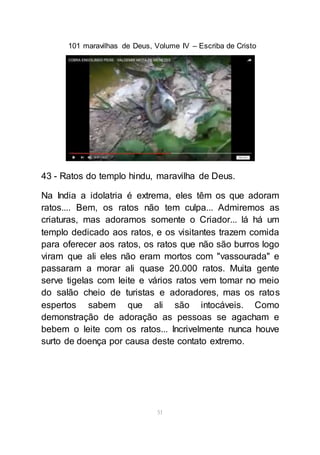 101 maravilhas de Deus, Volume IV – Escriba de Cristo
51
43 - Ratos do templo hindu, maravilha de Deus.
Na India a idolatria é extrema, eles têm os que adoram
ratos.... Bem, os ratos não tem culpa... Admiremos as
criaturas, mas adoramos somente o Criador... lá há um
templo dedicado aos ratos, e os visitantes trazem comida
para oferecer aos ratos, os ratos que não são burros logo
viram que ali eles não eram mortos com "vassourada" e
passaram a morar ali quase 20.000 ratos. Muita gente
serve tigelas com leite e vários ratos vem tomar no meio
do salão cheio de turistas e adoradores, mas os ratos
espertos sabem que ali são intocáveis. Como
demonstração de adoração as pessoas se agacham e
bebem o leite com os ratos... Incrivelmente nunca houve
surto de doença por causa deste contato extremo.
 