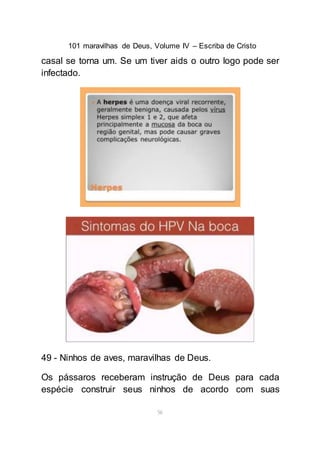 101 maravilhas de Deus, Volume IV – Escriba de Cristo
56
casal se torna um. Se um tiver aids o outro logo pode ser
infectado.
49 - Ninhos de aves, maravilhas de Deus.
Os pássaros receberam instrução de Deus para cada
espécie construir seus ninhos de acordo com suas
 