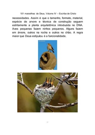 101 maravilhas de Deus, Volume IV – Escriba de Cristo
57
necessidades. Assim é que o tamanho, formato, material,
espécie de arvore e técnica de construção seguem
estritamente a planta arquitetônica introduzida no DNA.
Aves pequenas fazem ninhos pequenos. Alguns fazem
em árvore, outros na rocha e outros no chão. A regra
maior que Deus estipulou é a funcionalidade.
 