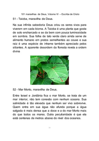 101 maravilhas de Deus, Volume IV – Escriba de Cristo
59
51 - Taioba, maravilha de Deus.
Na sua infinita sabedoria Deus criou os seres vivos para
viverem em cada bioma. A Taioba é uma planta que gosta
de solo encharcado e se da bem com pouca luminosidade
em sombra. Sua folha de talo verde claro ainda serve de
alimento humano em pratos semelhantes ao couve e sua
raiz é uma espécie de inhame também apreciado pelos
sitiantes. A aparente desordem da floresta revela a ordem
divina
52 - Mar Morto, maravilha de Deus.
Entre Israel e Jordânia fica o mar Morto, se trata de um
mar interior, não tem conexão com nenhum oceano. Sua
salinidade é tão elevada que nenhum ser vivo sobrevive.
Quem entra em sua água não afunda porque a água
salgada é mais densa que a doce e a do mar Morto mais
do que todos os mares. Outra peculiaridade é que ela
está centenas de metros abaixo do nível dos oceanos.
 
